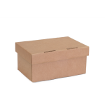 Segia Box 25x20x12 cm
